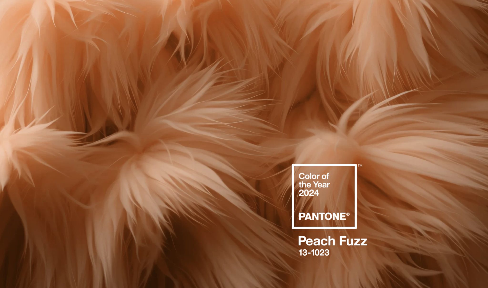 Cor do Ano 2024: Pantone Peach Fuzz - Presença de Luxo